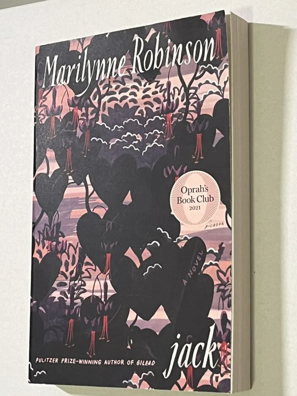 Jack by Marilynne Robinson Oprah's Book Club Paperback Literary Fiction